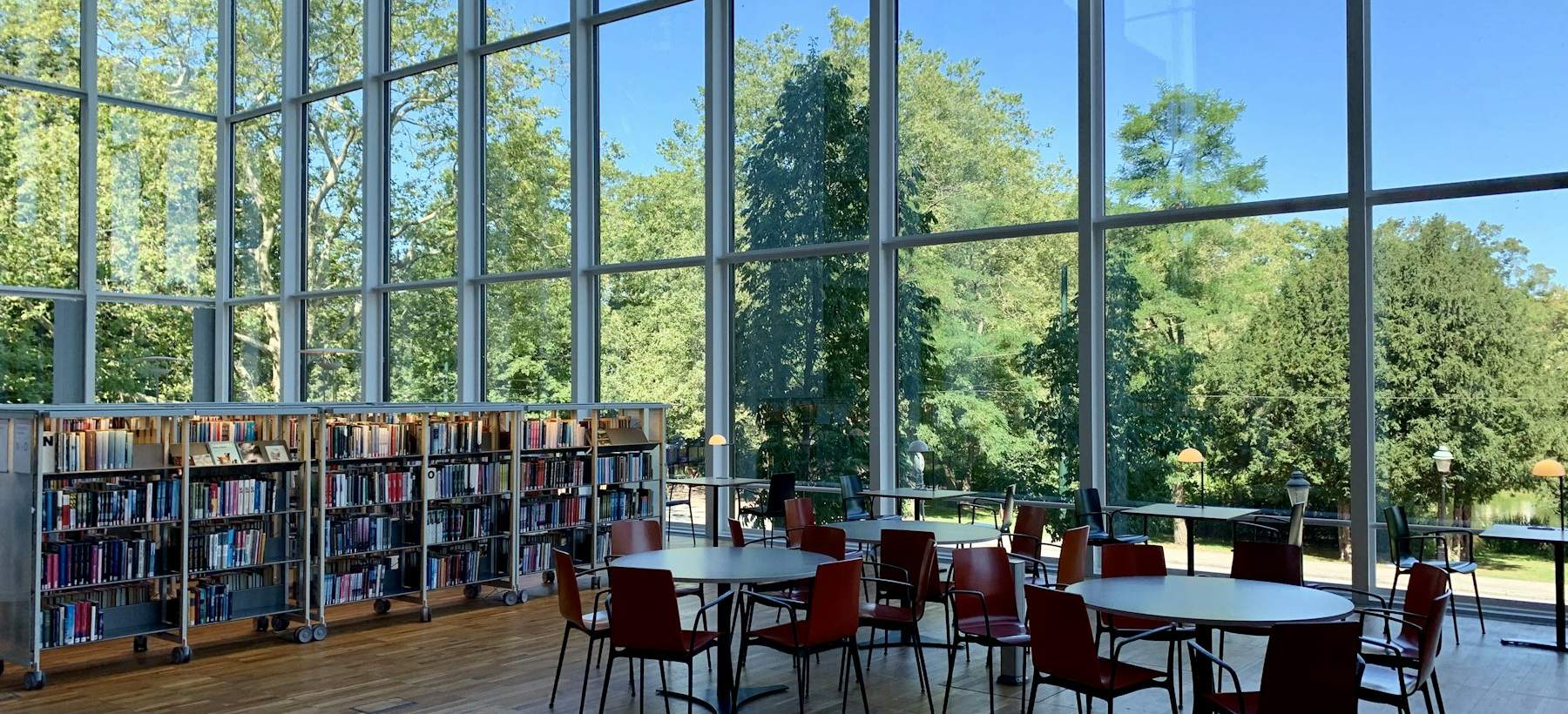 A bright school library with tall windows, bookshelves and round tables