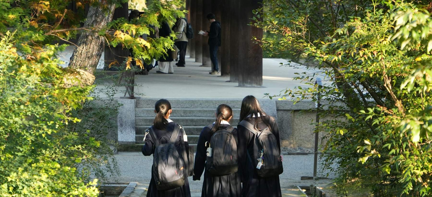 Three students with backpacks walking up a tree-lined path toward a school building