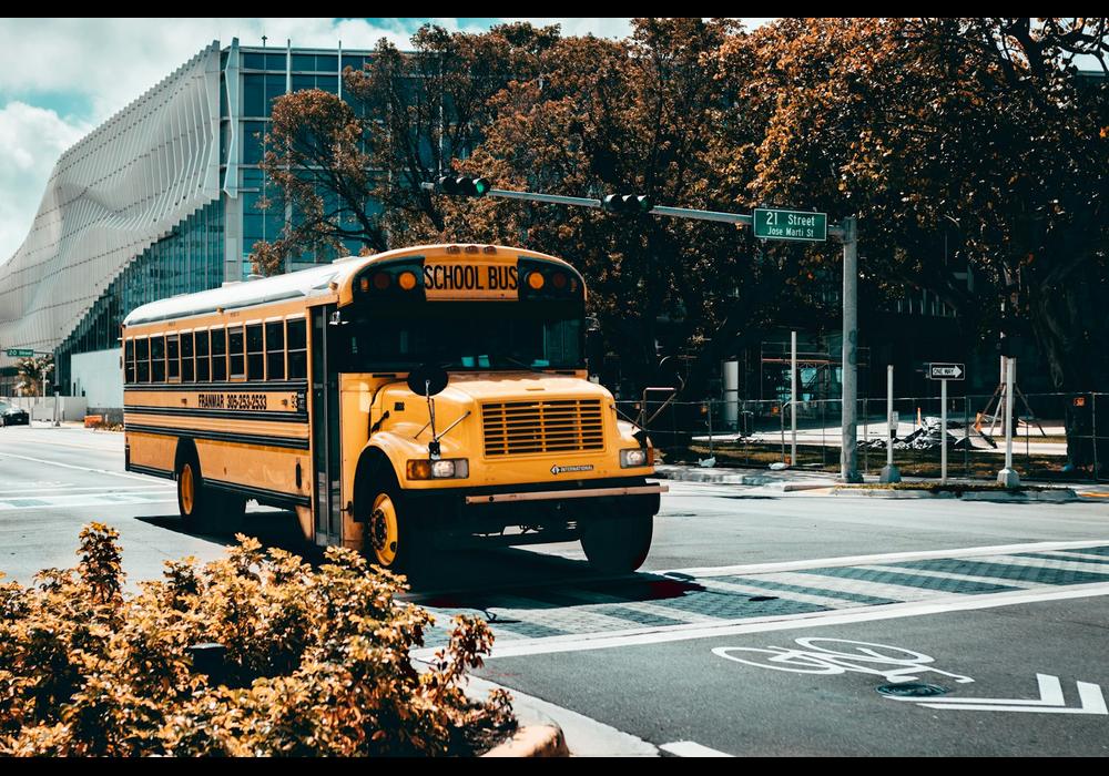 A yellow school bus pulling up to a stop on a sunny morning